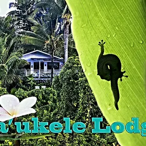 maukele-lodge.hotelsinhawaii.org/